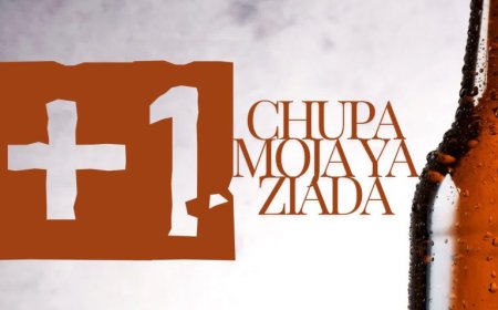 NEW AUDIO | Dizasta Vina - Chupa Moja Ya Ziada | Mp3