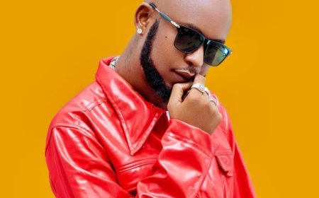 NEW AUDIO | Mr Blue - Nani | Mp3