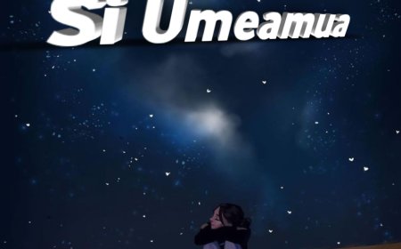 NEW AUDIO | Midabo Fleva - Si umeamua| Download Mp3