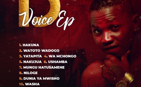 NEW EP | S KIDE - D voice EP | Download Mp3