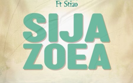 NEW  AUDIO | Nurdizo Ft Stizo - Sijazoea | DOWNLOAD NOW