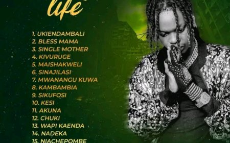 ALBAM REALLY LIFE | Mczo Morfan - really Life | DOWNLOAD NOW