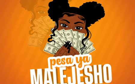Audio | Dabo Fleva - Pesa Ya Malejesho | Download