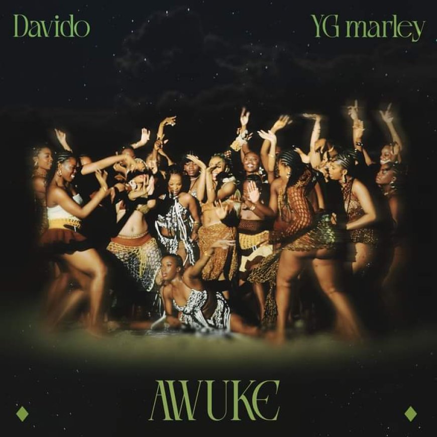 New Audio | Davido Ft YG Marley  - Awuke Download Mp3
