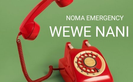 New Audio | Noma Emergency - Wewe Nani  | Download Mp3