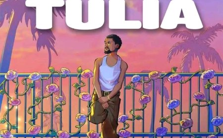 New Audio || Fax Desinger  -  Nimetulia  | Download Mp3