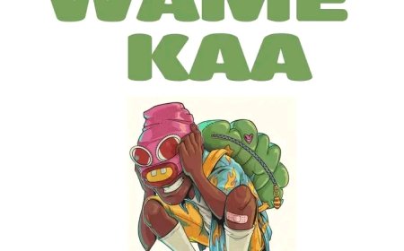 New Audio | M Rider - Wamekaa | Download Mp3