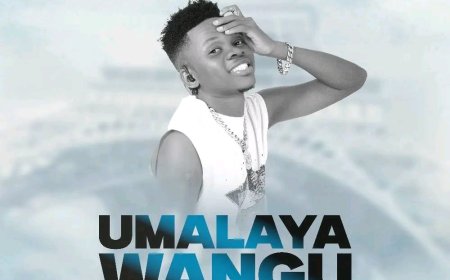 NEW AUDIO | Mudy Msanii - Umalaya Wangu | DOWNLOAD NOW