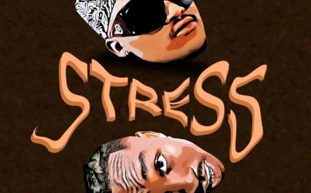 NEW AUDIO | Platform X Ibraah - Stress | DOWNLOAD NOW
