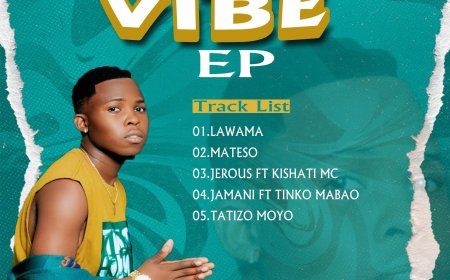 EP / ALBUM | Mr Vibe - Mo Vibe Ep | Baba Ivan Supply