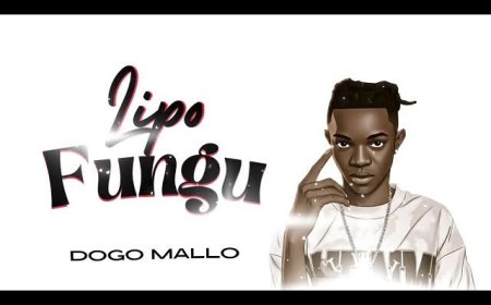 NEW AUDIO | Dogo Mallo - Lipo Fungu | Baba Ivan Supply