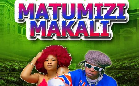 NEW AUDIO | Dj Tanzanite Ft Mczo Morfan - Matumizi Makali | Baba Ivan Supply